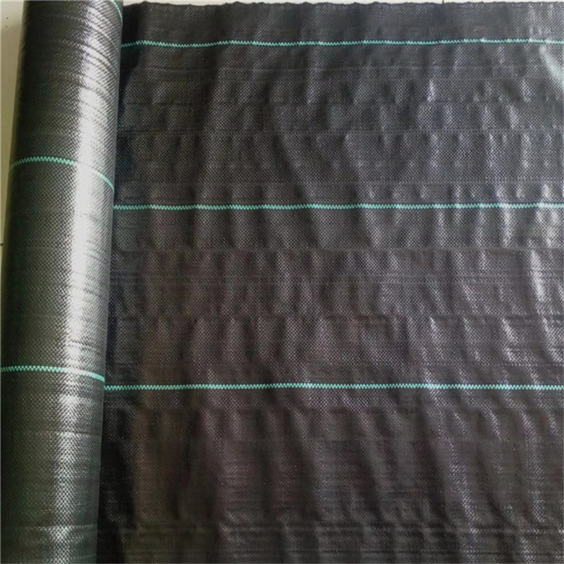 1608024187153196.jpg 微信圖片_20200111144832.jpg